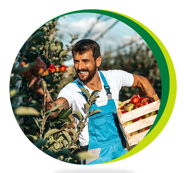 mainbanneritem_bg_image__vNkWO