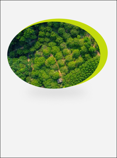 slider-image