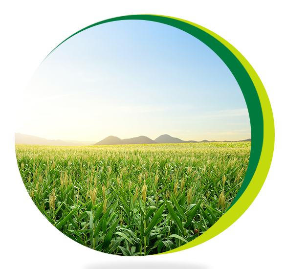 mainbanneritem_bg_image__vNkWO