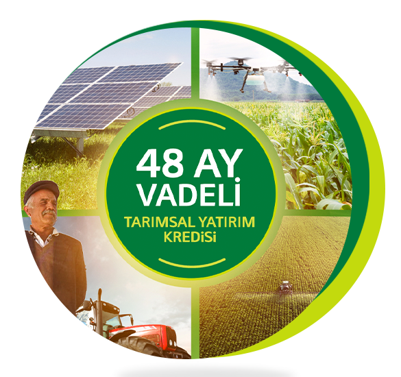 mainbanneritem_bg_image__vNkWO