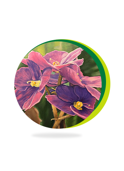 slider-image