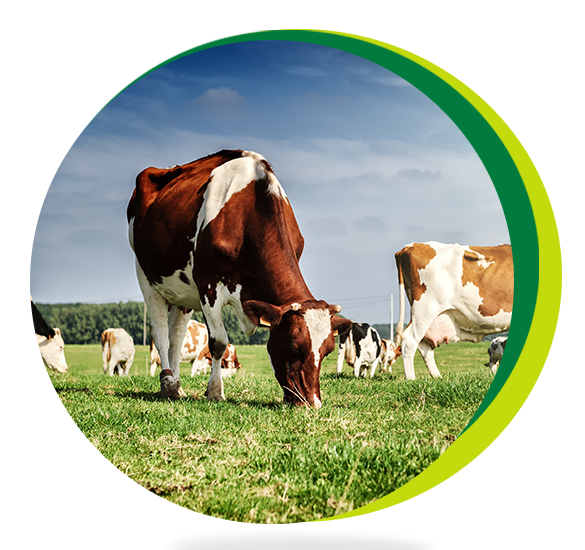 mainbanneritem_bg_image__vNkWO