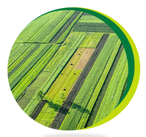 mainbanneritem_bg_image__vNkWO