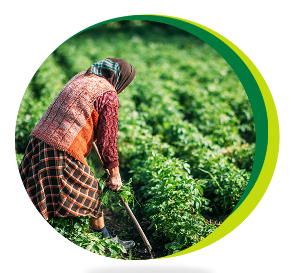 mainbanneritem_bg_image__vNkWO