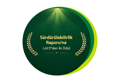 Sürdürülebilirlik Raporu'muza uluslararası iki ödül